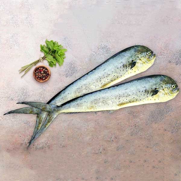 ماهی گالیت پاک نشده